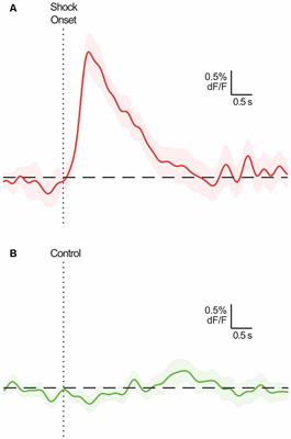 Analyzing Event-Related Transients: Confidence Intervals, Permutation Tests, and Consecutive Thresholds